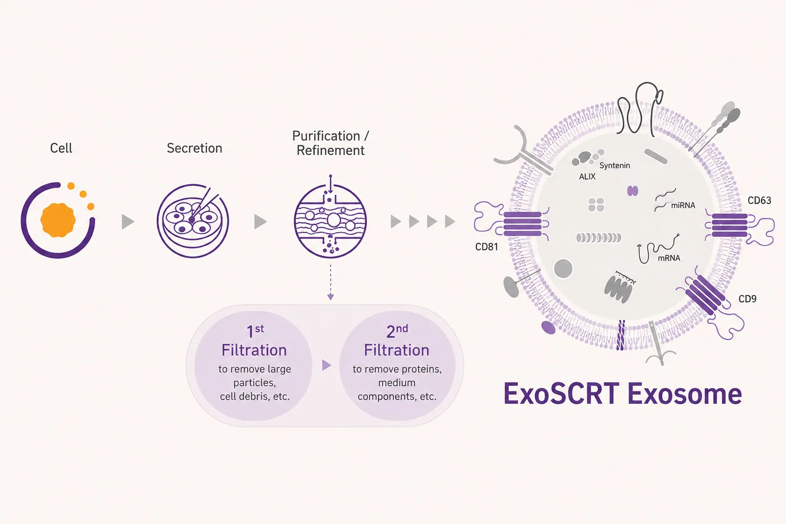 เทคโนโลยีการทำให้บริสุทธิ์ ExoSCRT