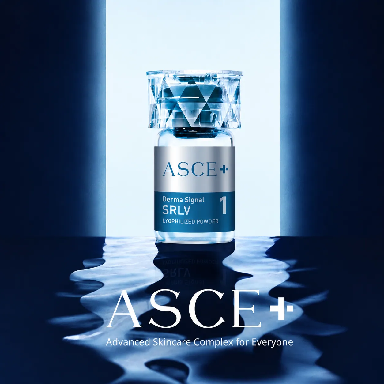 ผลิตภัณฑ์ ASCE+ SRLV