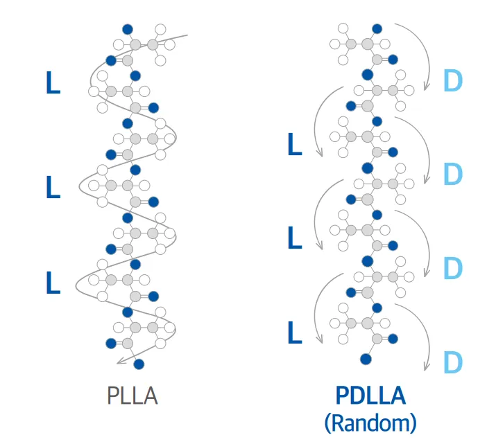 โครงสร้างอนุภาค PDLLA